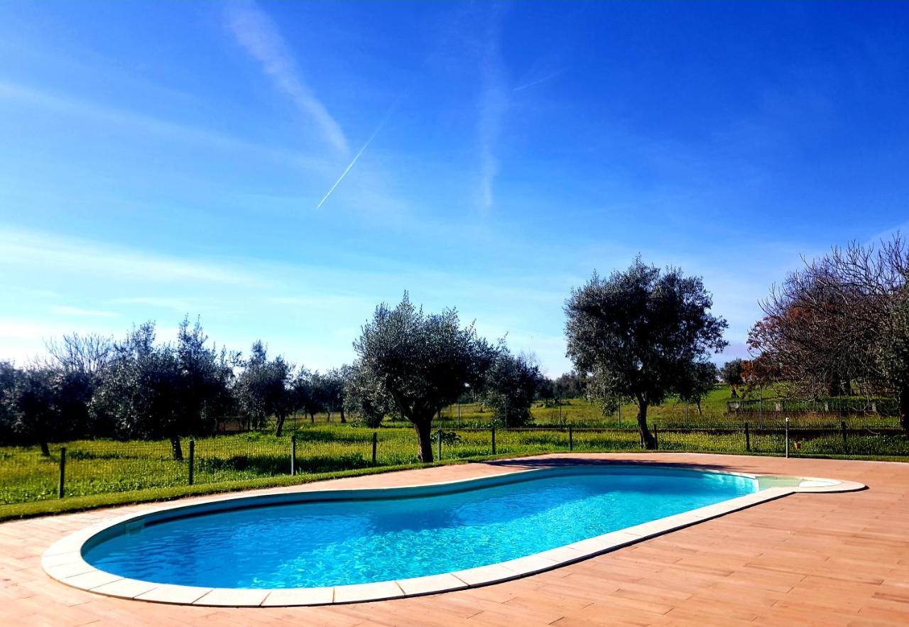 Oliveira Country House Figueira e Barros 外观 照片