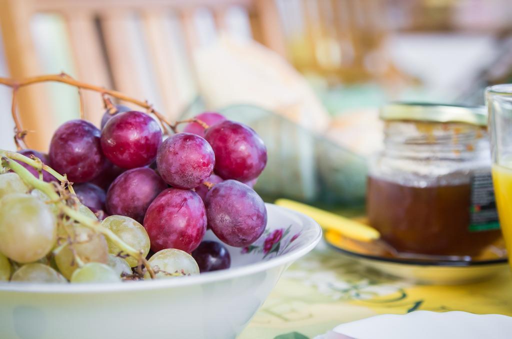 Oliveira Country House Figueira e Barros 外观 照片