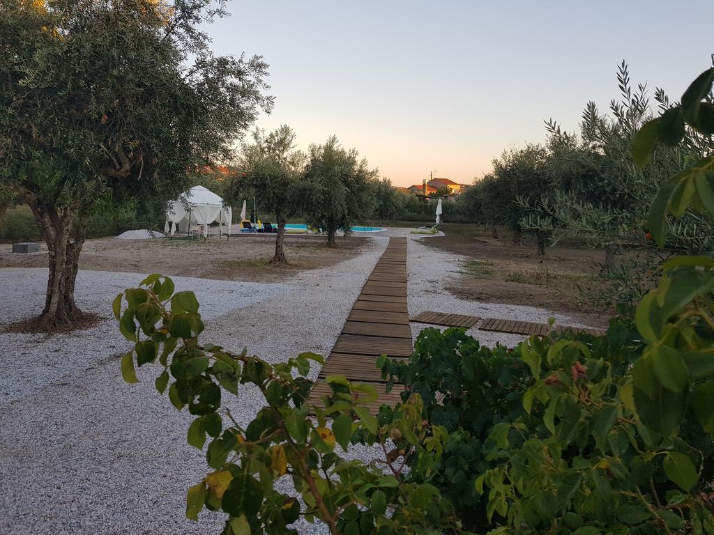 Oliveira Country House Figueira e Barros 外观 照片